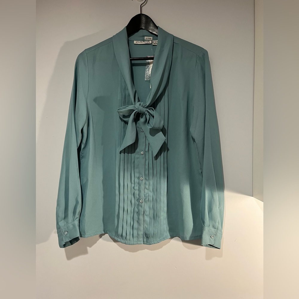 This brand new Claudia Richard comes in a size medium and blue in colour